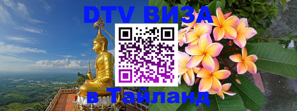 Оформление DTV визы под ключ: стоимость и тарифы, только загранпаспорт - 04.10.2025 